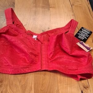 Elegant Red Lace Bra